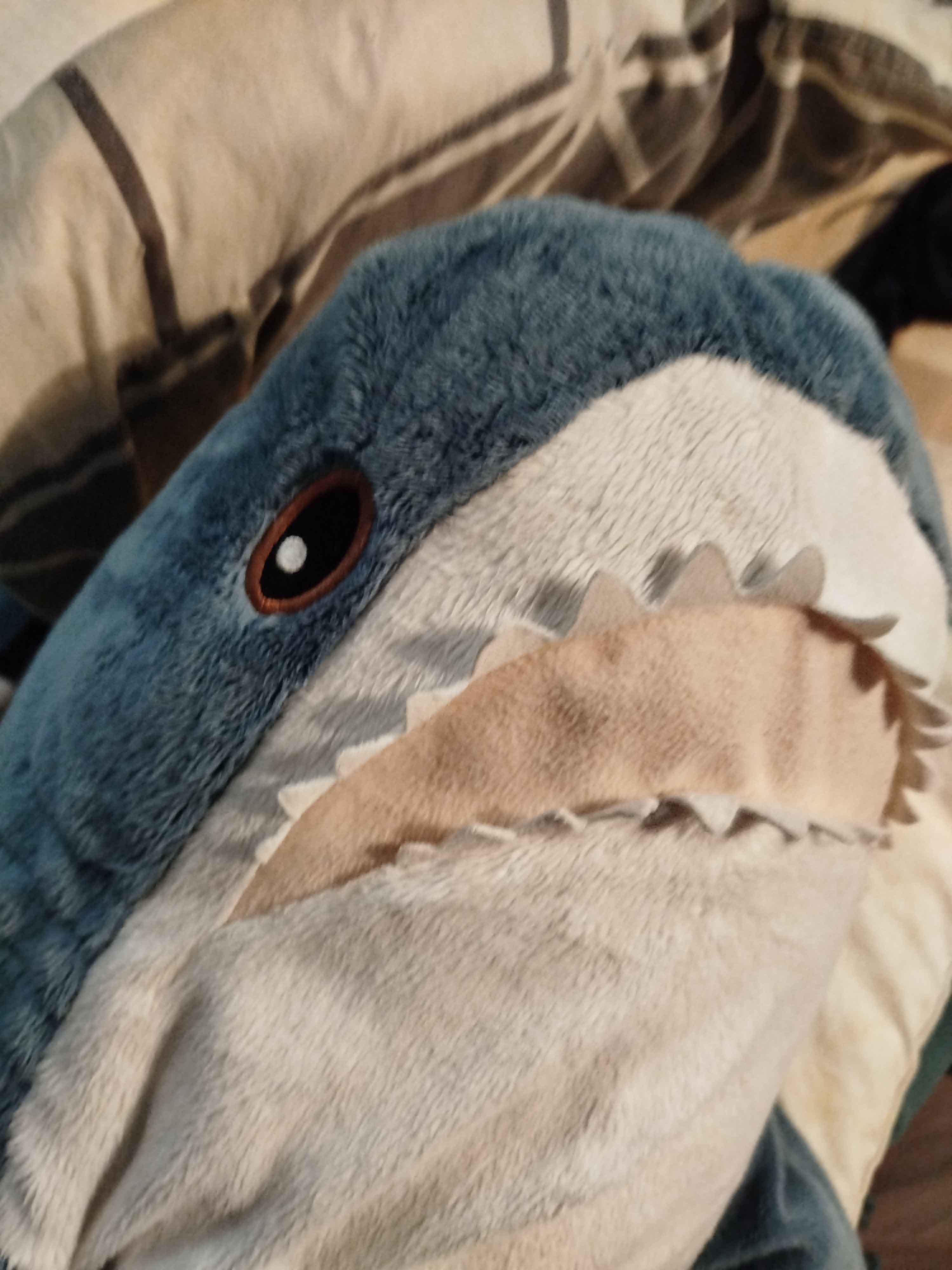 Alva face reveal